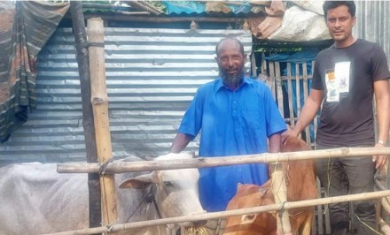 ফেসবুকে পোস্ট দিয়ে কৃষকের দুটি ষাঁড় গরু কিনে দিলেন যুবক
