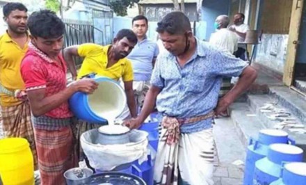 শাহজাদপুরে দুধ নিয়ে বিপাকে খামারিরা