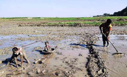 শাহজাদপুরে বীজতলা তৈরীতে ব্যাস্ত কৃষক