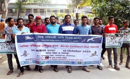 শাহজাদপুরে বিশ্ব পরিযায়ী পাখি দিবস পালিত