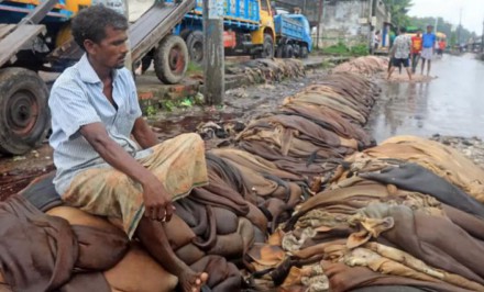 কোরবানির পশুর চামড়া ‘পানির দরে’ বিক্রি