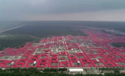 সাগর থেকে উদ্ধারের পর রোহিঙ্গাদের একটি দল পাঠানো হলো ভাসানচরে