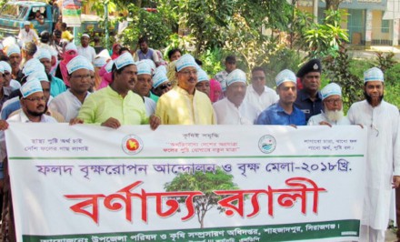 শাহজাদপুরে ৩ দিন ব্যাপি বৃক্ষমেলা শেষ হচ্ছে আগামীকাল