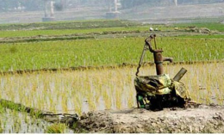 শাহজাদপুরের প্রায় সহস্রাধিক নলকূপ চালিত ইরি-বোরো স্কিমে পানির সংকট; কৃষকের বিপাকে