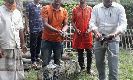 শাহজাদপুরে পাখি শিকারীর ৩ হাজার টাকা জরিমানা