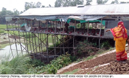 শাহজাদপুরে সফল নারী উদ্যোক্তার পোল্ট্রি খামার হিংসাত্বকভাকে উচ্ছেদের পায়তারা !