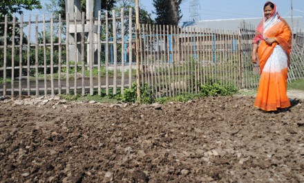 গোবরে পদ্মফুল-৪ : জৈবসার ব্যবহারে উদ্যোগী না হলে ভবিষ্যতে কৃষি উৎপাদন বিঘ্নিত হবে