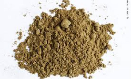 শাহজাদপুরে ৬ গ্রাম হেরোইনসহ ২ হেরোইন ব্যবসায়ী গ্রেফতার