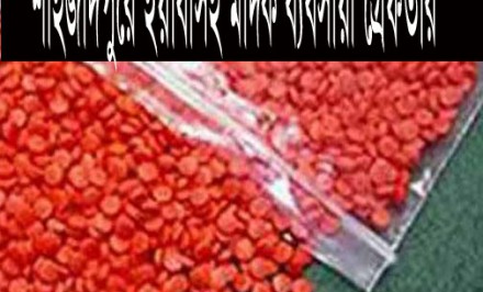 ﻿শাহজাদপুরে ইয়াবাসহ মাদক ব্যবসায়ী গ্রেফতার