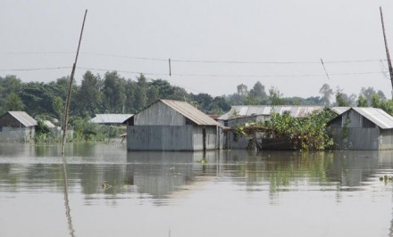 সিরাজগঞ্জের ৬ উপজেলায় বন্যায় ক্ষতি ১১২ কোটি টাকা