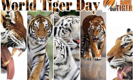 রায়গঞ্জে বিশ্ব বাঘ দিবস পালন