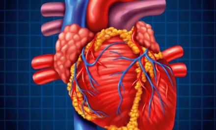 স্ত্রীর কারনে হার্ট অ্যাটাক বেশি হয় পুরুষদের