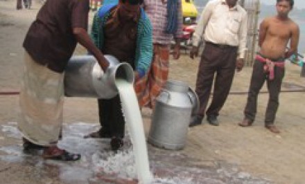 মিল্কভিটার দুধের মূল্য বৃদ্ধিসহ ১০ দফা দাবীর প্রতিবাদে সড়কে দুধ ঢেলে খামারীদের প্রতিবাদ