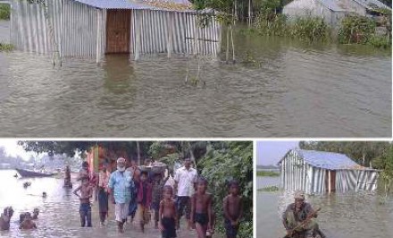 শাহজাদপুরে বন্যা পরিস্থিতি এখনও অপরিবর্তিতঃ ১০ হাজার বিঘা আবাদী পানির নিচে
