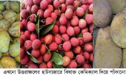 ফরমালিন ও কার্বাইডে সতেজ থাকে দিনের পর দিন ফরমালিন আতংকে শাহজাদপুরসহ উত্তরাঞ্চলের মানুষ