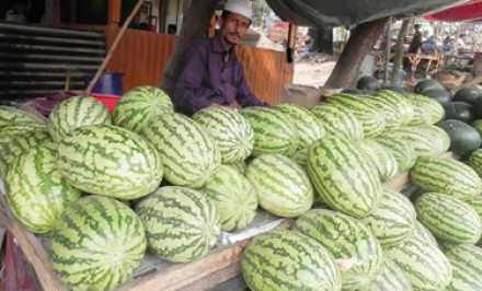 বেলকুচিতে হরতাল অবরোধের মাঝেও বরিশালের তরমুজ আমদানী