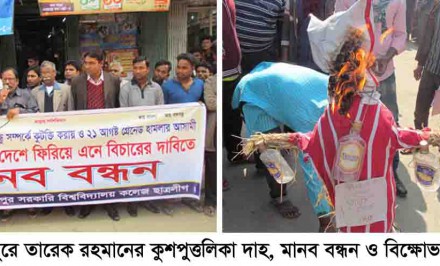 বঙ্গবন্ধু সম্পর্কে তারেক জিয়ার কটুক্তির প্রতিবাদে শাহজাদপুরে ছাত্রলীগের মানববন্ধন ও কুশপুত্তলিকা দাহ