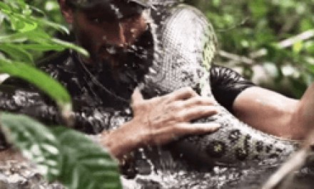 সাপের পেটে ৩ ঘণ্টার ভ্রমণ!