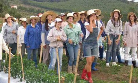 ব্রাজিল সুন্দরীদের ভালোবাসার আকুতি