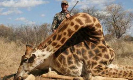 জিরাফের মৃত্যুদণ্ড কার্যকর!