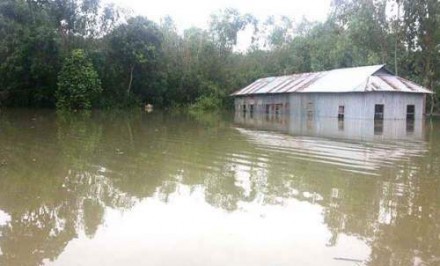 বন্যায় চৌহালীর মুরাদপুর চরে একজনের মৃত্যু