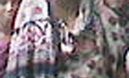 শাহজাদপুরে  ৪তুর্থ শ্রেণীর ছাত্রীর বিয়ে বন্ধে তৎপরতা।