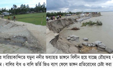 যমুনা নদীর ভাঙ্গনে বিলীন হয়ে যাচ্ছে বাজার, বসতবাড়ী ও আবাদী জমি
