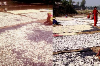 ছিন্নমূল শ’তাধিক নারীর দিনবদলের কাহিনী!