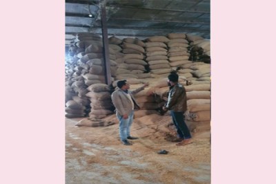 শাহজাদপুরে আমন চাউল সংগ্রহে লক্ষ্যমাত্রা পূরণ হবে- উপজেলা খাদ্য নিয়ন্ত্রক