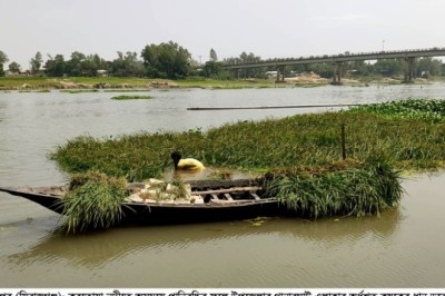 শাহজাদপুরে নদীর পানিতে ডুবে গেছে দেড়’শ বিঘা জমির ধান