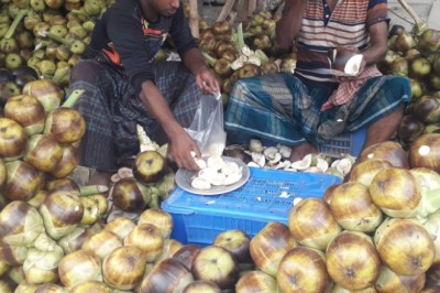শাহজাদপুরে দেদারসে তালের শাঁস বিক্রি, হুমকিতে তালগাছের বংশ বৃদ্ধি