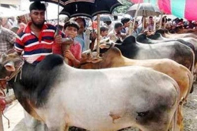 মহানবী (সা.) পশুর যেসব অঙ্গ খেতেন না